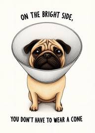 Cute pug wearing cone with funny optimistic message card