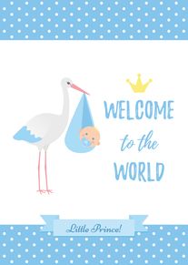 White stork carries a baby bundle beside Welcome to the World Little Prince text design.