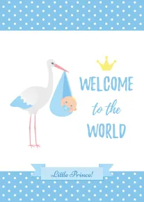White stork carries a baby bundle beside Welcome to the World Little Prince text design.