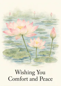 Watercolour illustration of pink lotus flowers and lily pads with the message “Wishing You Comfort and Peace”.