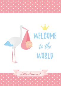 Stork carries a baby girl bundle beside Welcome to the World Little Princess text message.