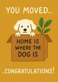 Cute dog in box new home congratulations card with plant