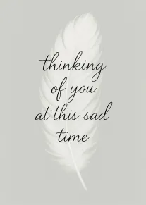 White feather on soft grey background with thinking of you at this sad time message.