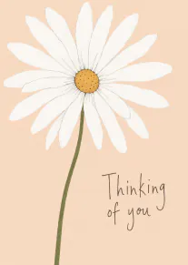 Hand-drawn white daisy with a yellow centre on a peach background, reading “Thinking of you”.