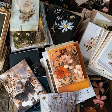 Photograph of an assortment of sympathy cards, highlighting the diversity in expressing condolences